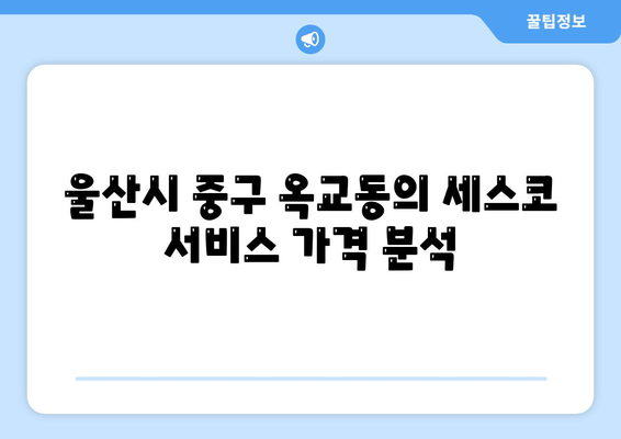 울산시 중구 옥교동 세스코 가격 및 비용 안내 | 가정집 후기, 원룸 신청, 진단, 좀벌래 해결법 2024"