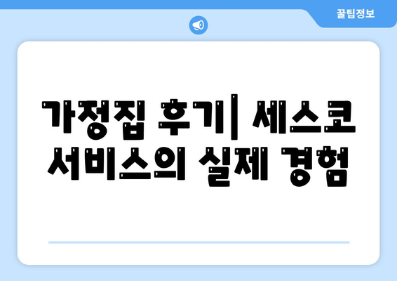 서울시 마포구 상암동 세스코 가격 및 비용 안내 | 가정집 후기, 원룸 신청 방법, 진단과 좀벌래 해결 팁 2024