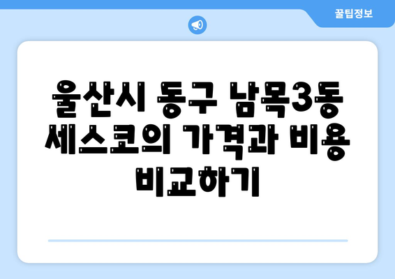 울산시 동구 남목3동 세스코 가격과 비용, 가정집 후기 및 원룸 신청 방법 알아보기 | 진단, 좀벌래 해결, 후기 2024