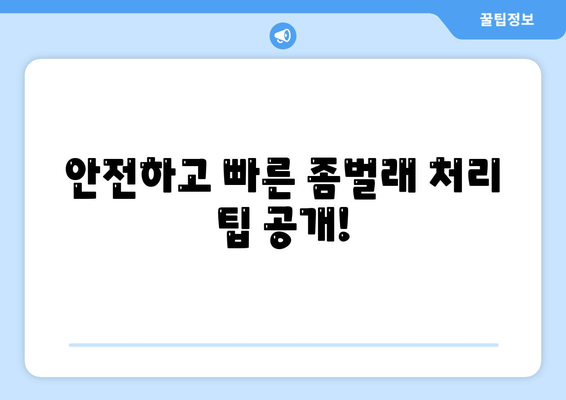 충청북도 청주시 상당구 영운동 세스코 가격 및 후기 2024 | 가정집, 원룸 진단 신청 방법 및 좀벌래 해결 팁