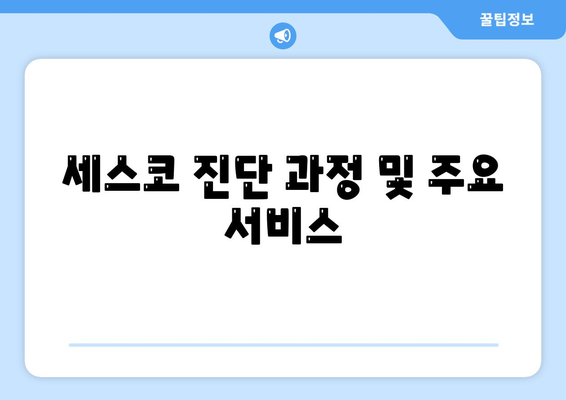 강원도 철원군 서면 세스코 가격 및 비용 | 가정집 후기, 원룸, 신청 방법, 진단, 좀벌래 해결책 2024"