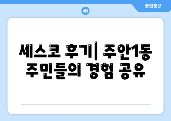 인천시 미추홀구 주안1동 세스코 가정집 가격과 후기 2024 | 비용, 신청 방법, 좀벌래 문제 해결 팁"