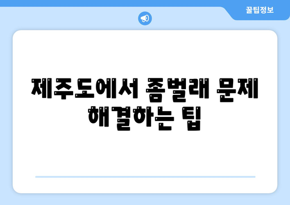 제주도 제주시 용담1동 세스코 가격 및 가입 방법 | 가정집 후기, 좀벌래 해결책, 2024년 최신 정보