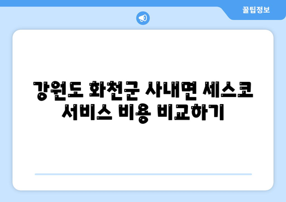 강원도 화천군 사내면 세스코 가격 및 비용 안내 | 가정집 후기, 원룸 신청 방법, 진단 팁, 좀벌래 해결책 2024