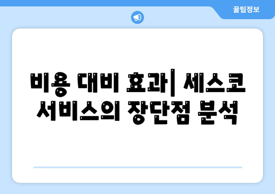 서울시 마포구 상암동 세스코 가격 및 비용 안내 | 가정집 후기, 원룸 신청 방법, 진단과 좀벌래 해결 팁 2024