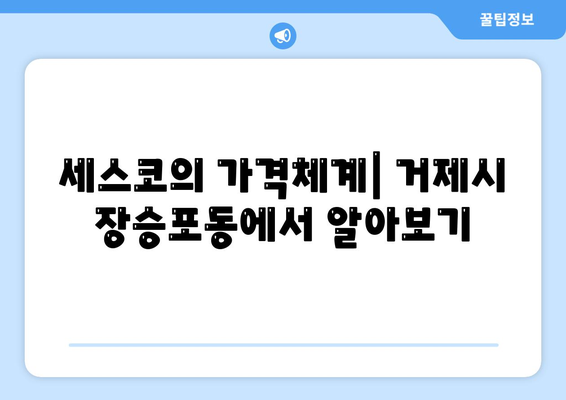 경상남도 거제시 장승포동 세스코 가격 안내 | 비용, 가정집 후기, 깐깐한 원룸 신청 방법, 좀벌래 해결책 2024