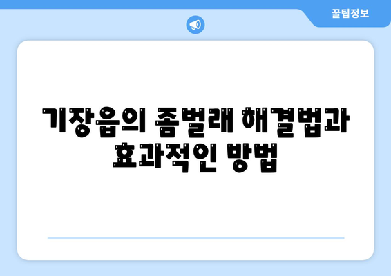 부산시 기장군 기장읍 세스코 가격 및 서비스 가이드 | 가정집 후기, 원룸 신청, 좀벌래 해결법 2024