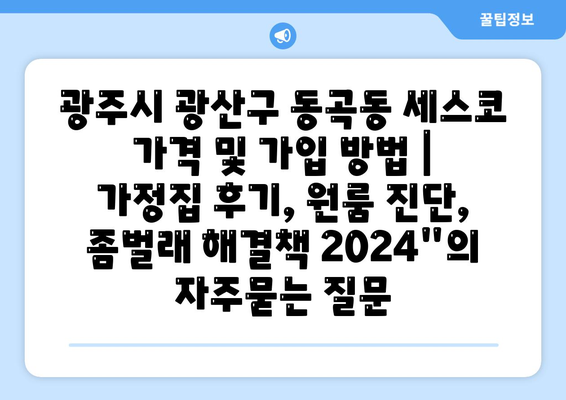 광주시 광산구 동곡동 세스코 가격 및 가입 방법 | 가정집 후기, 원룸 진단, 좀벌래 해결책 2024"