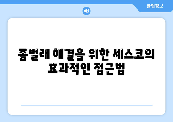 제주도 제주시 애월읍 세스코 가격 및 가정집 후기 안내 | 비용, 신청 방법, 원룸 진단, 좀벌래 해결책 2024