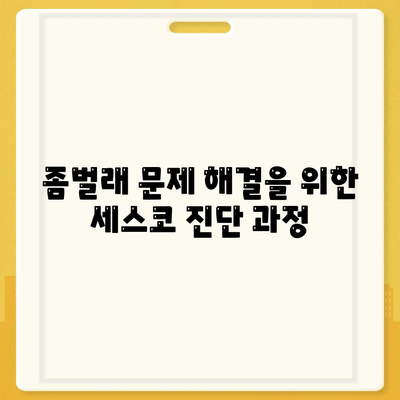 제주도 제주시 일도1동 세스코| 가격, 가정집 후기 및 좀벌래 문제 해결 가이드 2024 | 비용, 신청, 진단, 원룸, 가입 팁