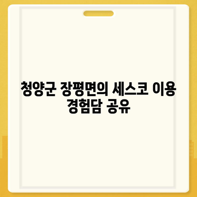 충청남도 청양군 장평면 세스코 가격 및 비용 가이드 | 가정집 후기, 원룸 신청 방법, 집 좀벌래 진단 2024