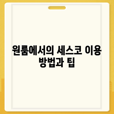 광주시 광산구 신가동 세스코 가격 및 신청 방법 | 비용, 가정집 후기, 원룸, 진단, 좀벌래 해결 2024