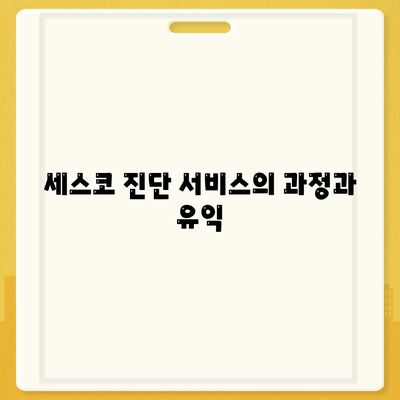 대전시 서구 내동 세스코 가격 가정집 후기 및 신청 방법 총정리 | 비용, 원룸, 진단, 좀벌래, 2024