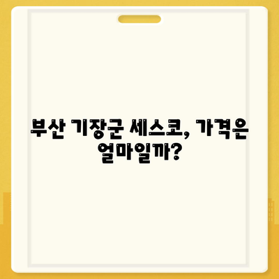 부산시 기장군 기장읍 세스코 가격 및 서비스 가이드 | 가정집 후기, 원룸 신청, 좀벌래 해결법 2024