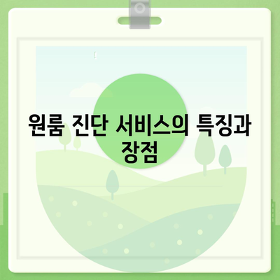 부산시 동래구 사직2동 세스코 가격 및 후기 총정리 | 비용, 가정집 신청, 원룸 진단, 좀벌래 해결책 2024