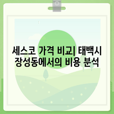 강원도 태백시 장성동 세스코 가격 및 가정집 후기 | 원룸 신청 방법, 진단 및 좀벌래 해결 팁 2024