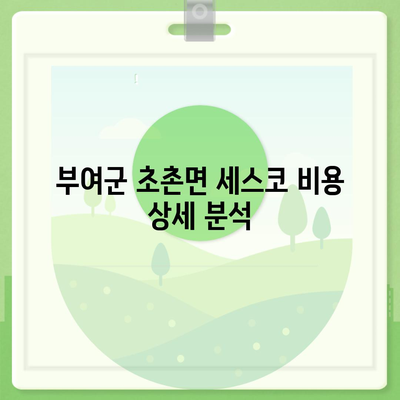 충청남도 부여군 초촌면 세스코 가격 가이드| 비용, 가정집 후기와 좀벌래 해결법 2024 | 세스코, 신청, 가입, 진단"