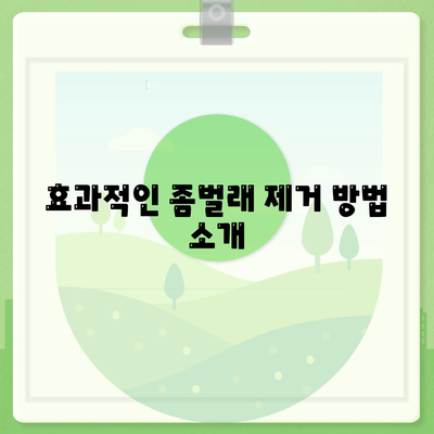 충청남도 보령시 웅천읍 세스코 가격 및 가정집 후기 | 좀벌래 제거 방법, 신청 절차, 가입 정보 총정리 2024