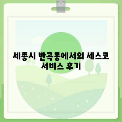 세종시 세종특별자치시 반곡동 세스코 사용자의 가정집 후기 및 비용 안내 | 가격, 신청 방법, 좀벌래 해결책 2024