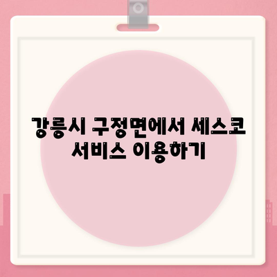 강원도 강릉시 구정면 세스코 가격과 비용, 가정집 후기 총정리 | 신청 방법, 진단, 좀벌래 정보 2024"