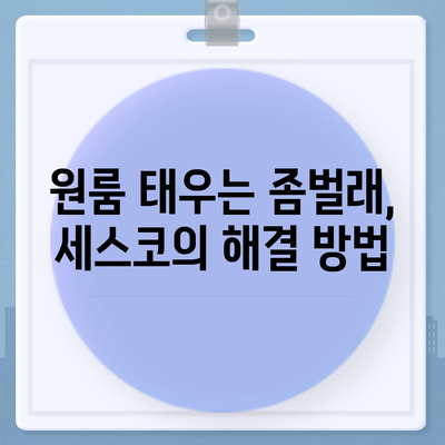 대구시 남구 대명4동 세스코 가격 및 가정집 후기 | 비용, 신청, 원룸, 좀벌래 해결 가이드 2024