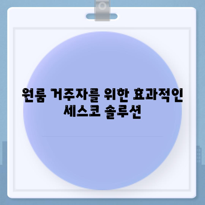 인천시 남동구 간석4동 세스코 가격 및 서비스 이용 가이드 | 비용, 가정집 후기, 원룸, 좀벌래 해결책 2024