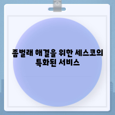 대구시 수성구 중동 세스코 서비스 가격 및 가정집 후기 총정리 | 비용, 신청 방법, 좀벌래 해결책, 2024 정보