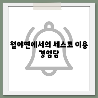 전라남도 함평군 월야면 세스코 가격과 후기｜비용, 가정집 신청 방법, 좀벌래 진단 | 2024년 실용 가이드