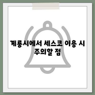 충청남도 계룡시 신도안면 세스코 가격 및 가정집 후기 2024 | 비용, 신청 방법, 좀벌래 해결 팁