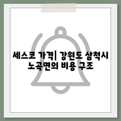 강원도 삼척시 노곡면 세스코 가격 및 비용 안내 | 가정집 후기, 원룸 신청 방법, 좀벌래 진단 2024