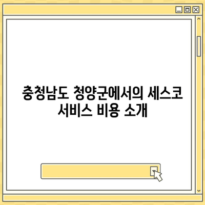 충청남도 청양군 장평면 세스코 가격 및 비용 가이드 | 가정집 후기, 원룸 신청 방법, 집 좀벌래 진단 2024