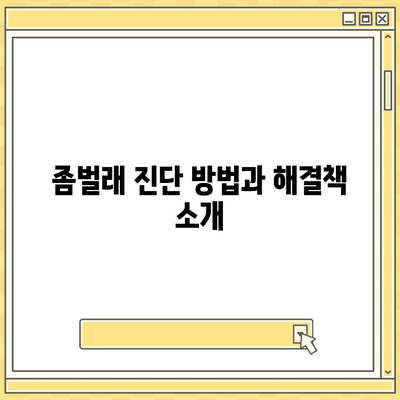 충청북도 제천시 영천동 세스코 가격과 비용, 가정집 후기 및 신청 방법 | 좀벌래 진단과 해결책, 2024년도 업데이트