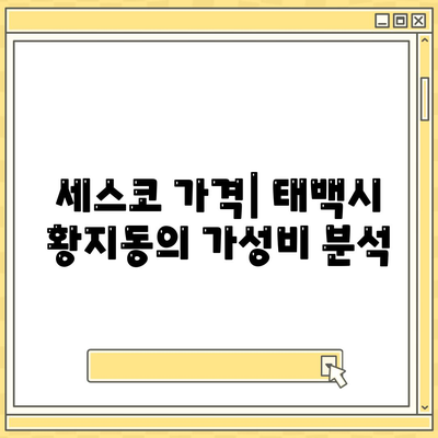 강원도 태백시 황지동 세스코 가격 및 가정집 후기 | 비용, 원룸, 신청, 가입, 진단, 좀벌래 해결책 2024