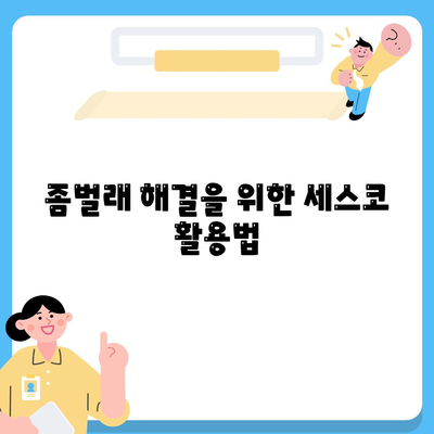 전라북도 임실군 임실읍 세스코 가격 및 가입 방법 완벽 가이드 | 비용, 후기, 집, 좀벌래, 원룸 2024