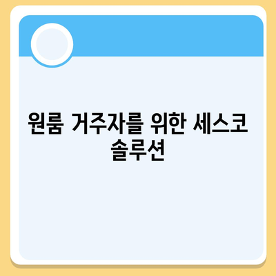 경상북도 칠곡군 기산면 세스코 가격 및 서비스 신청 가이드 | 비용, 가정집 후기, 원룸 및 좀벌래 해결법 2024"