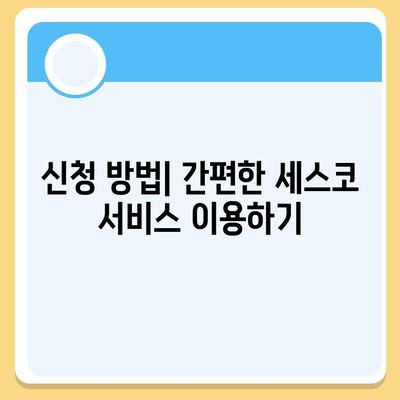 전라남도 여수시 주삼동 세스코 가정집 비용 및 후기 총정리 | 가격, 신청 방법, 좀벌래 해결책, 2024