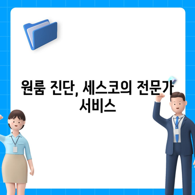 울산시 동구 남목2동 세스코 가격 및 후기 | 가정집 신청 방법, 원룸 진단, 좀벌래 해결책 2024