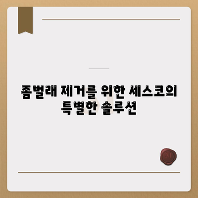 경상북도 성주군 대가면 세스코 가격 & 비용 알아보기 | 가정집 후기, 원룸 신청, 진단, 좀벌래 해결책 2024