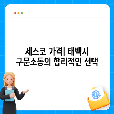 강원도 태백시 구문소동 세스코 가격과 가정집 후기 | 좀벌래 문제 해결, 신청 방법, 비용 정보 2024"