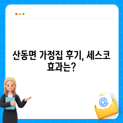 전라남도 구례군 산동면 세스코 가격 및 신청 방법 | 가정집 후기, 원룸 비용, 좀벌래 진단 2024"