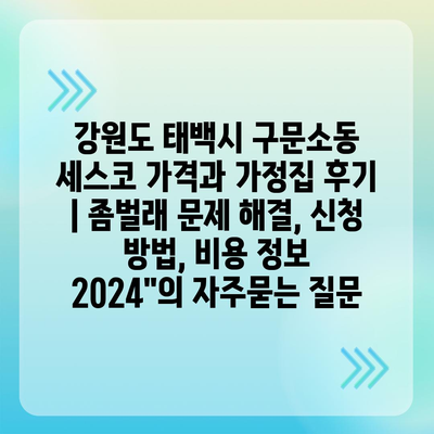 강원도 태백시 구문소동 세스코 가격과 가정집 후기 | 좀벌래 문제 해결, 신청 방법, 비용 정보 2024"