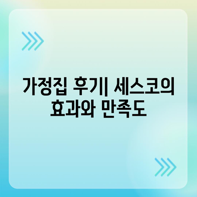 대전시 서구 내동 세스코 비용 및 신청 방법 | 가정집 후기, 원룸 진단, 좀벌래 해결 2024