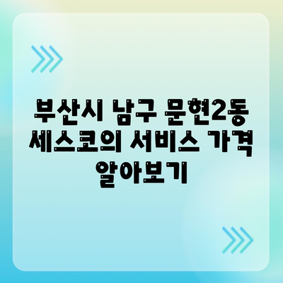 부산시 남구 문현2동 세스코 가격 및 가정집 후기 | 비용, 신청 방법, 좀벌래 해결책 2024