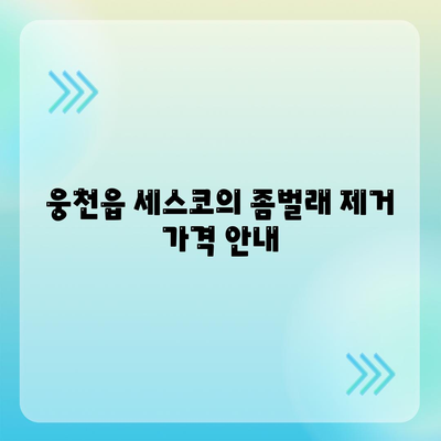 충청남도 보령시 웅천읍 세스코 가격 및 가정집 후기 | 좀벌래 제거 방법, 신청 절차, 가입 정보 총정리 2024