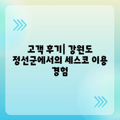 강원도 정선군 여량면 세스코 가격 및 가정집 후기 완벽 가이드 | 비용, 원룸 신청, 진단, 좀벌래 해결 2024