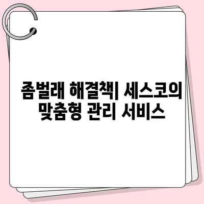 세스코 가격 안내| 서울시 마포구 용강동 가정집, 원룸 후기 및 신청 방법 | 비용, 진단, 좀벌래 해결책 2024