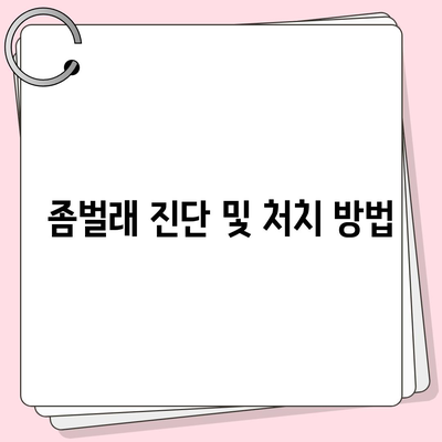 충청남도 계룡시 금암동 세스코 가정집 후기 및 가격 안내 | 비용, 신청 방법, 좀벌래 진단, 원룸 정보 2024