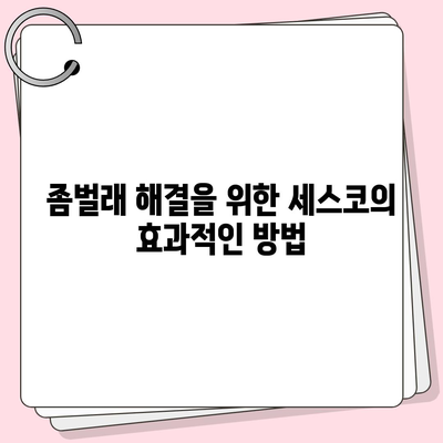 강원도 정선군 여량면 세스코 가격 및 가정집 후기 총정리 | 비용, 신청 방법, 진단, 좀벌래 해결책 2024