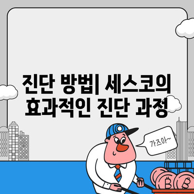 충청남도 공주시 의당면에서 알아보는 세스코 가격과 가정집 후기 | 비용, 원룸 신청, 진단, 좀벌레 해결 팁 2024