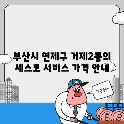 부산시 연제구 거제2동 세스코 가격과 후기 | 가정집, 원룸 신청 방법 및 좀벌래 문제 해결 2024